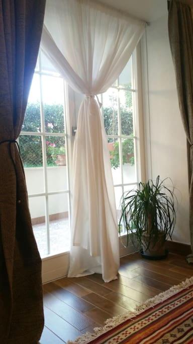 Cristina'S Flat Riccione 아파트 외부 사진